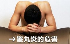 邢台睾丸炎的症状表现有哪些呢?