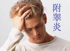 邢台附睾炎的常见病变有哪些?