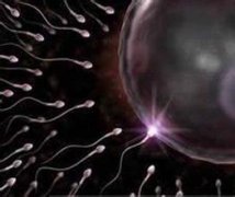 如何区分死精症和弱精症?