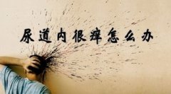 怎样有效的防治尿道炎?
