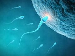 弱精症男性怀孕几率是多少?