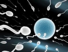 精子动力不足该怎么治?