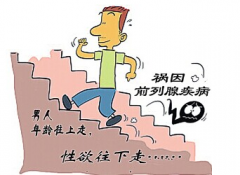 邢台前列腺囊肿有哪几类呢