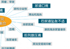 邢台泌尿医院医师介绍前列腺炎的五大恶习