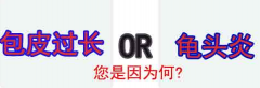 科普龟头炎危害，患病好治疗
