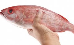 如何提高男人生育力 多吃3种食物